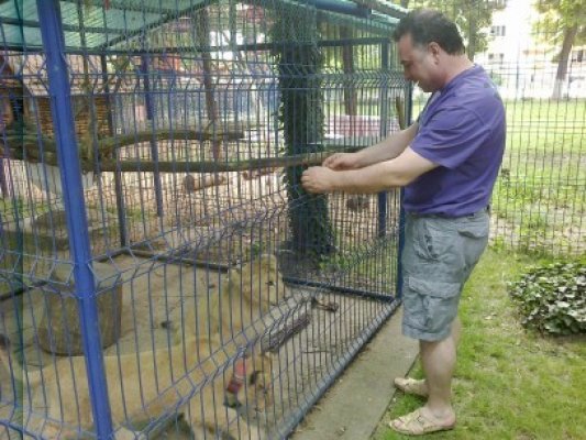 Primarul din Năvodari îşi suspectează maimuţa că dă informaţii inamicilor din politică :))